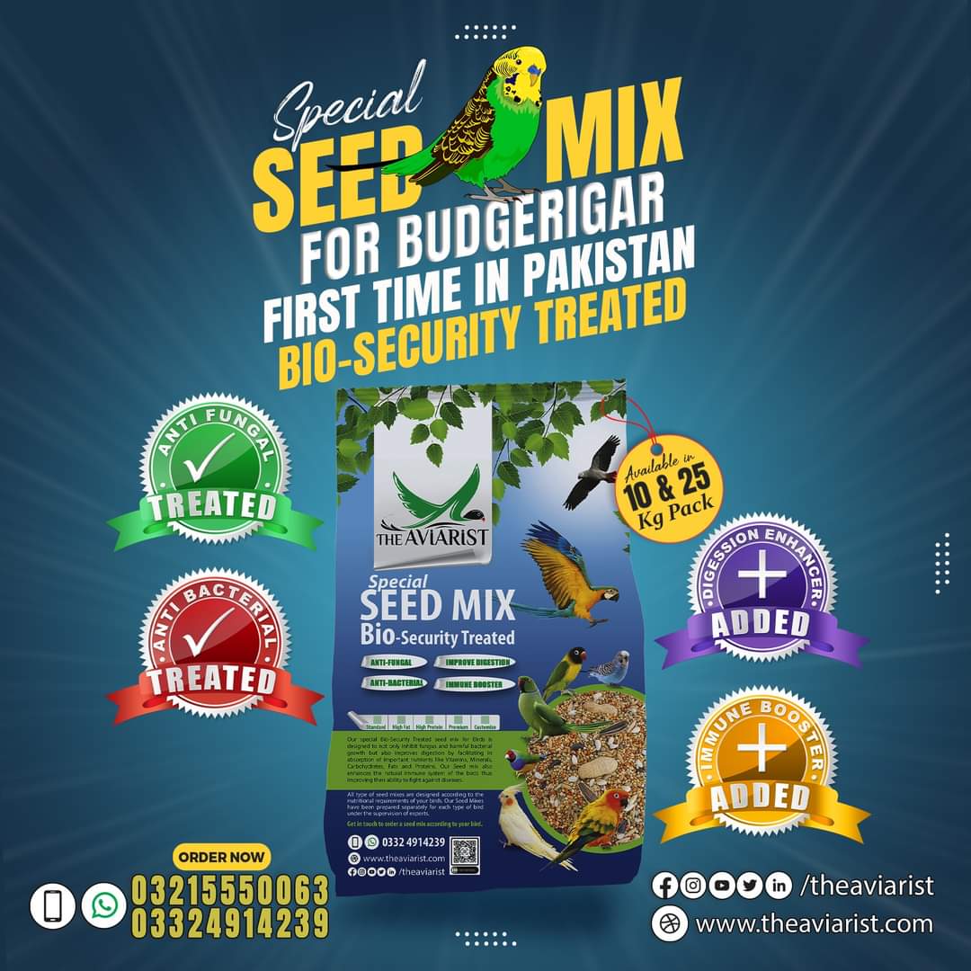 Budgerigar Special Seed Mix with Bio Security Treatment