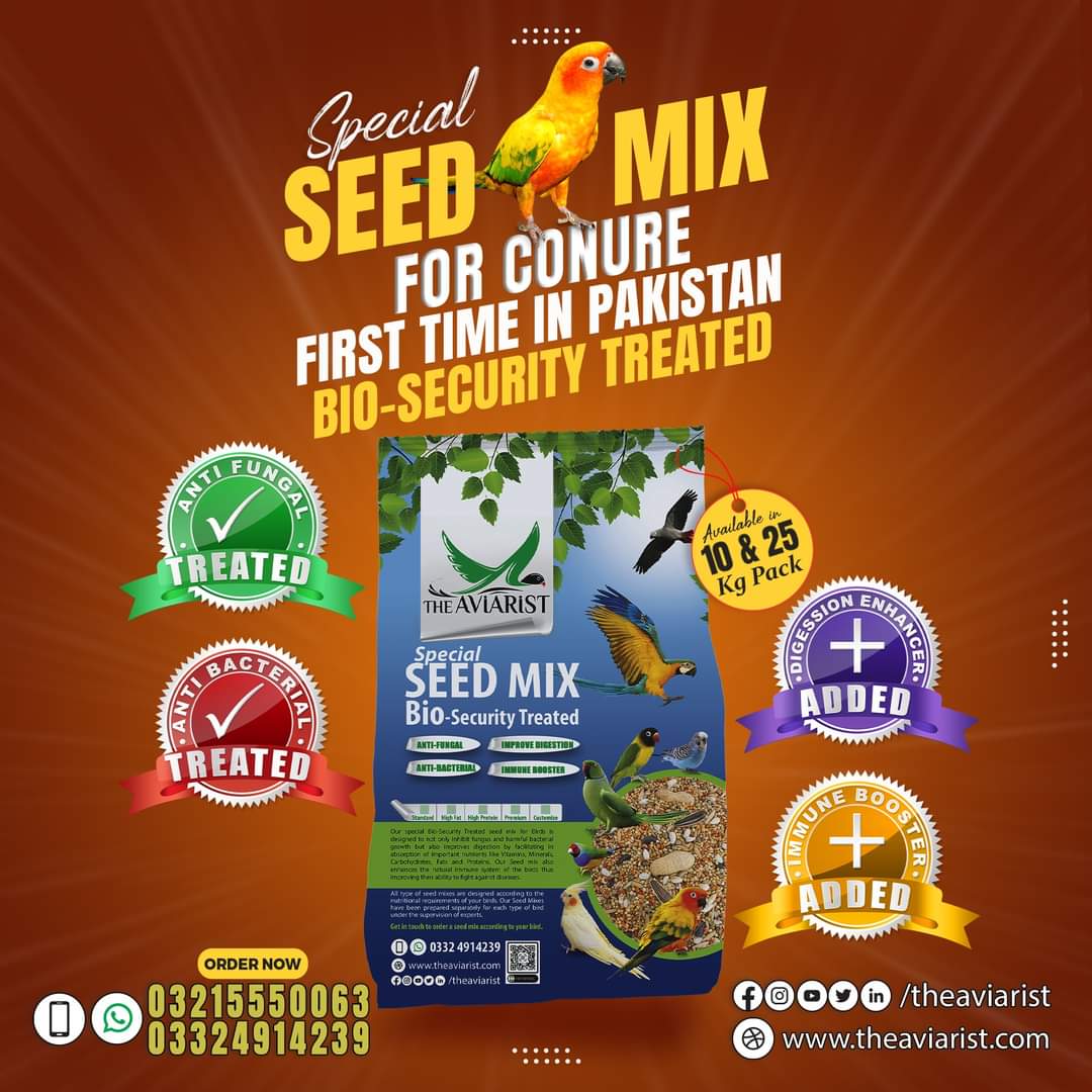 Conure Special Seed Mix with Bio Security Treatment