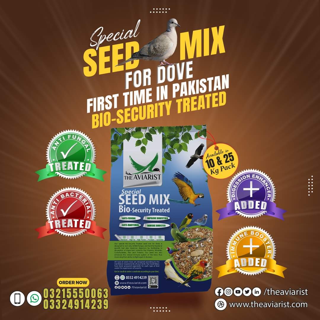 Dove Special Seed Mix with Bio Security Treatment