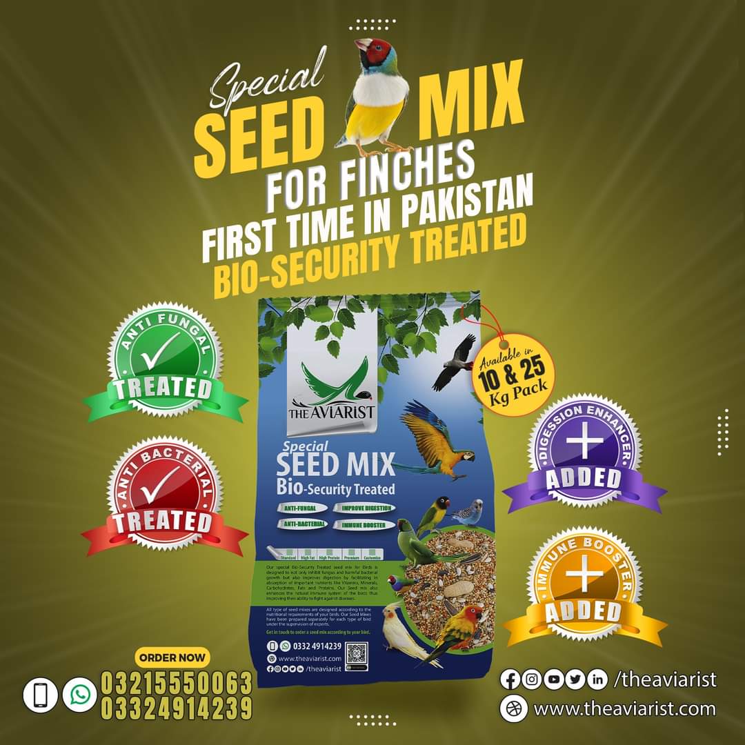 Finch Special Seed Mix with Bio Security Treatment