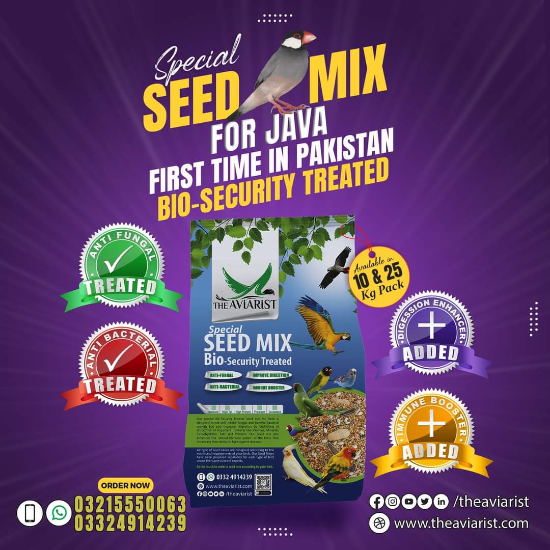 Java Sparrow Special Seed Mix with Bio Security Treatment