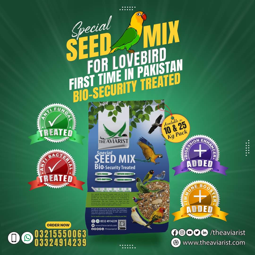 Lovebird Special Seed Mix