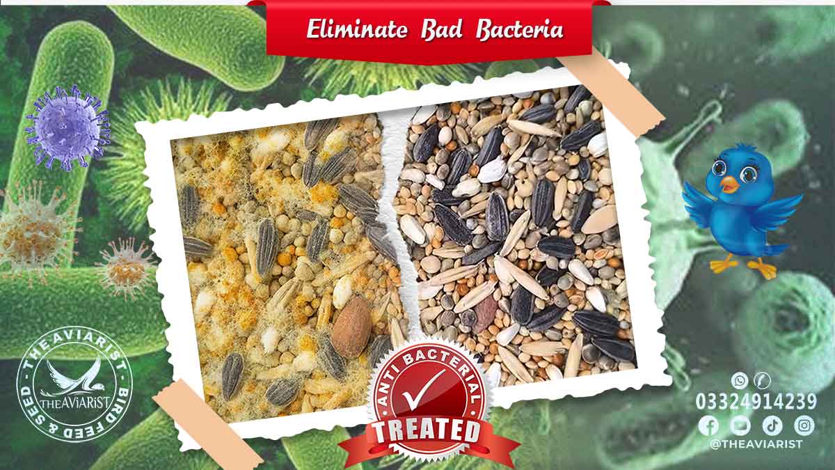 Eliminate Bad Bacterial Growth in Bird Seed Mix