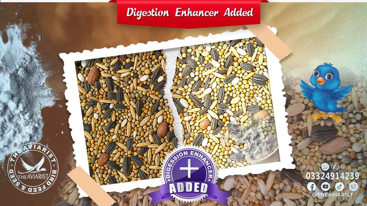 Enzymes Added for Digestion Enhancement in Bird Seed Mix