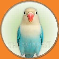Lovebird for The Aviarist Seed Mix