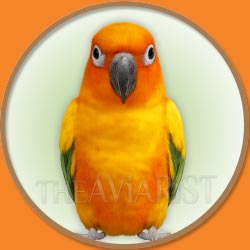 Sun Conure for The Aviarist Seed Mix